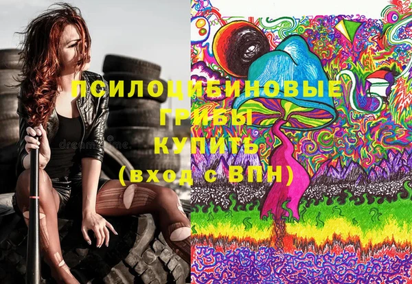 герыч Алексин
