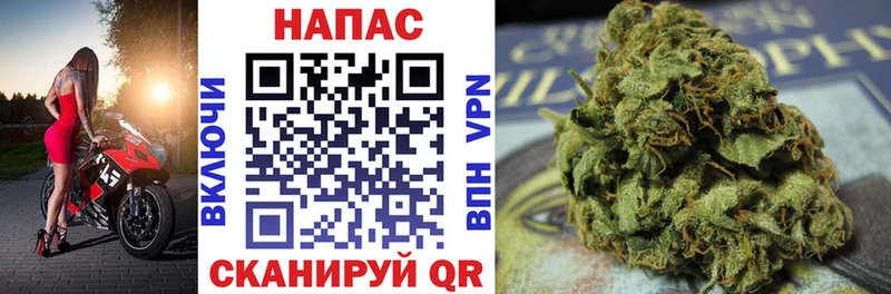 Марихуана гибрид  Апрелевка 
